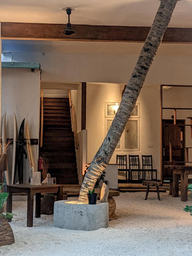 מלון טלאוסדו Dhoadhi Retreat מראה חיצוני תמונה